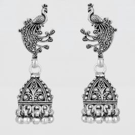 Silver Earrings 507B215966